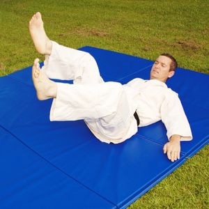 Judo Techniques